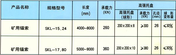 籠型加強錨索